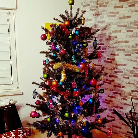 Ein Trip In * 波伦道夫